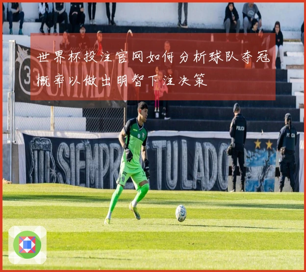 世界杯投注官网如何分析球队夺冠概率以做出明智下注决策
