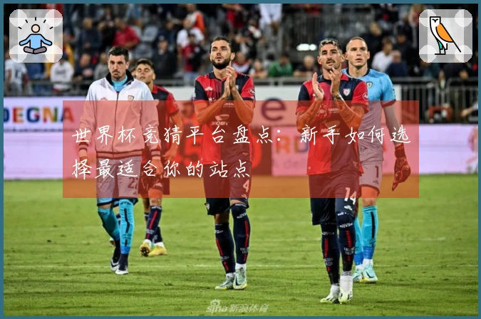 世界杯竞猜平台盘点：新手如何选择最适合你的站点