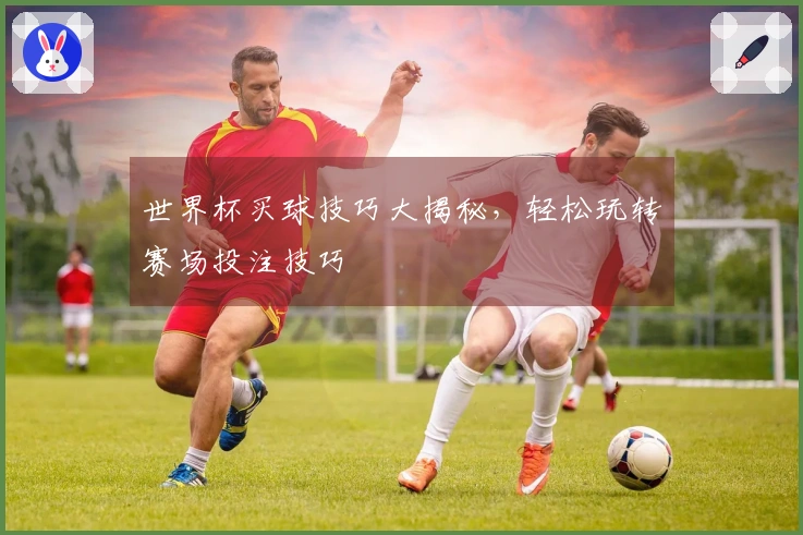 世界杯买球技巧大揭秘，轻松玩转赛场投注技巧