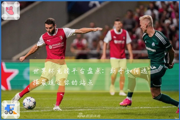 世界杯竞猜平台盘点:新手如何选择最适合你的站点