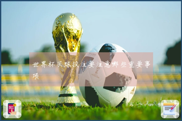 世界杯买球投注要注意哪些重要事项